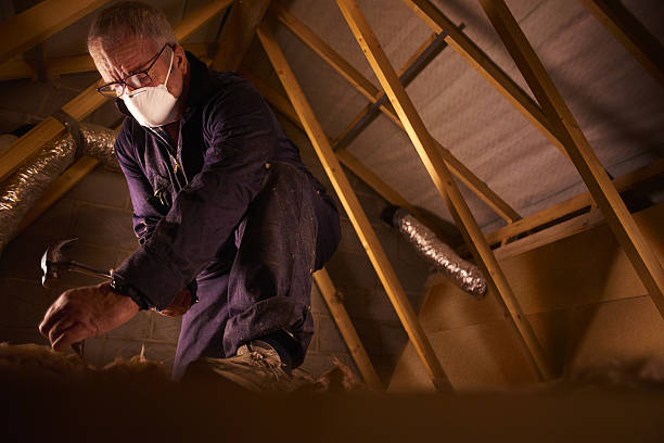 Best Insulation Materials and Products in Haymarket, VA